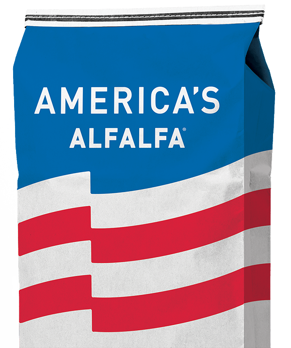 AmeriStand 519NT Bag Image